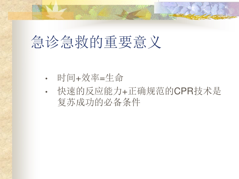 心肺复苏Cardiopulmonary  Resuscitation,CPR_第3页