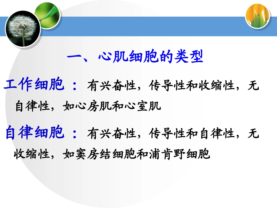 血液循环第一次课_第3页