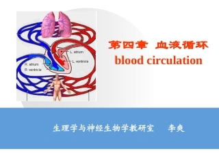 血液循环第一次课