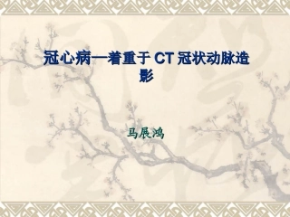 冠心病—着重于CT冠状动脉造影
