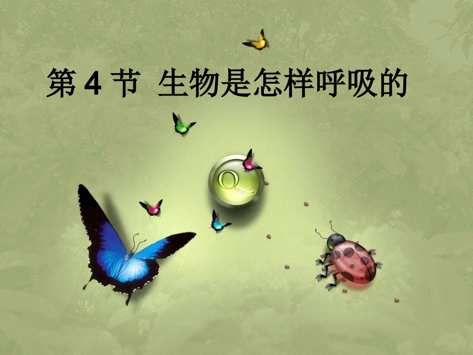 人体呼吸系统_第1页