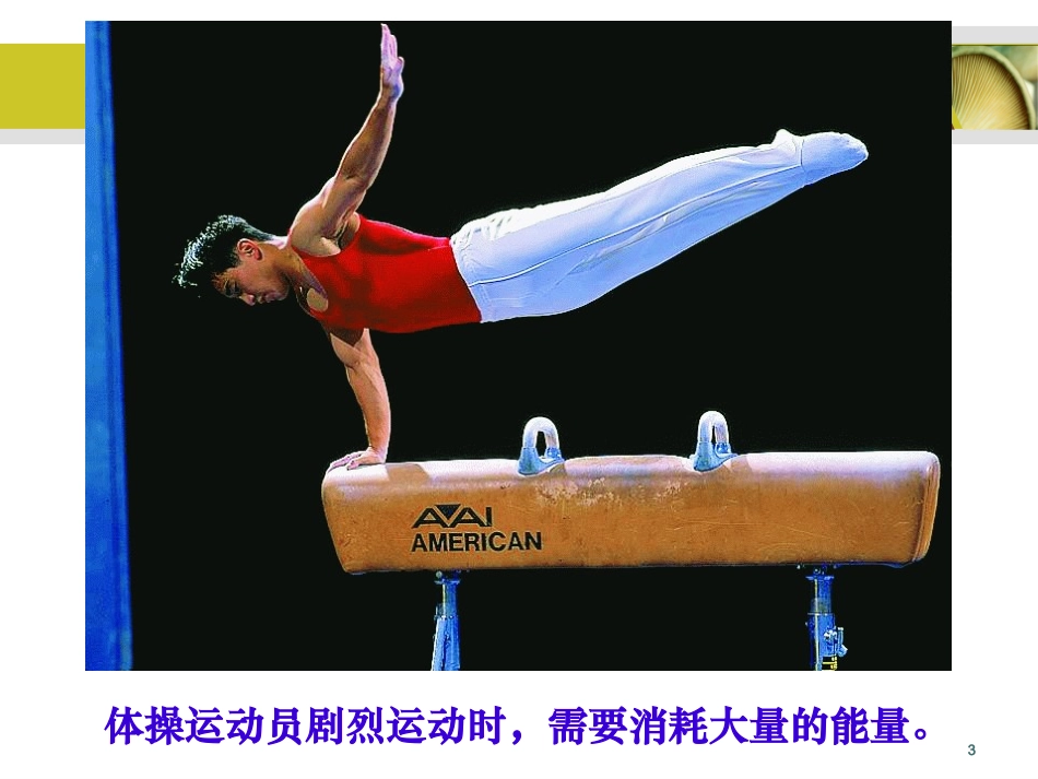 食品营养学第3章--能量代谢与平衡_第3页