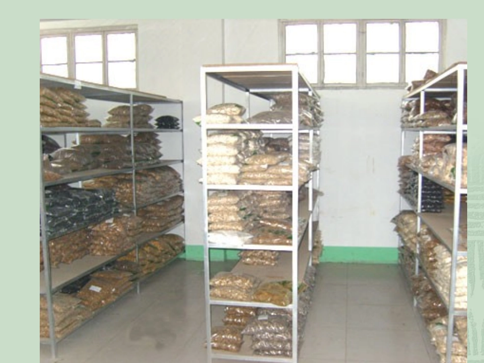 药品储存与养护第1章---绪论_第2页