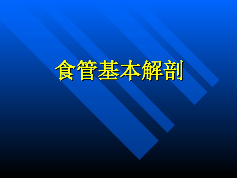 食管基本解剖_第1页
