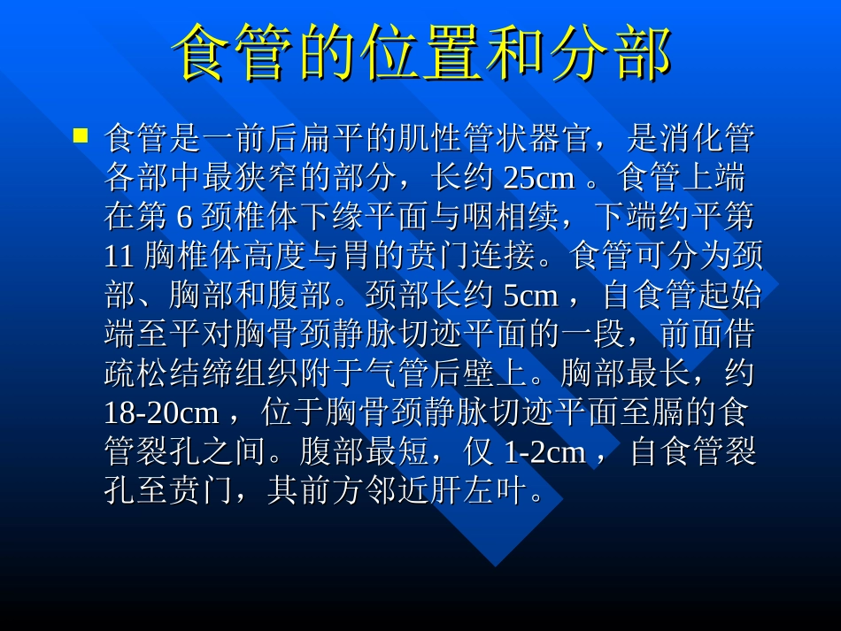 食管基本解剖_第2页