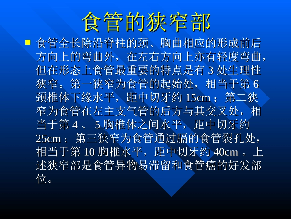 食管基本解剖_第3页
