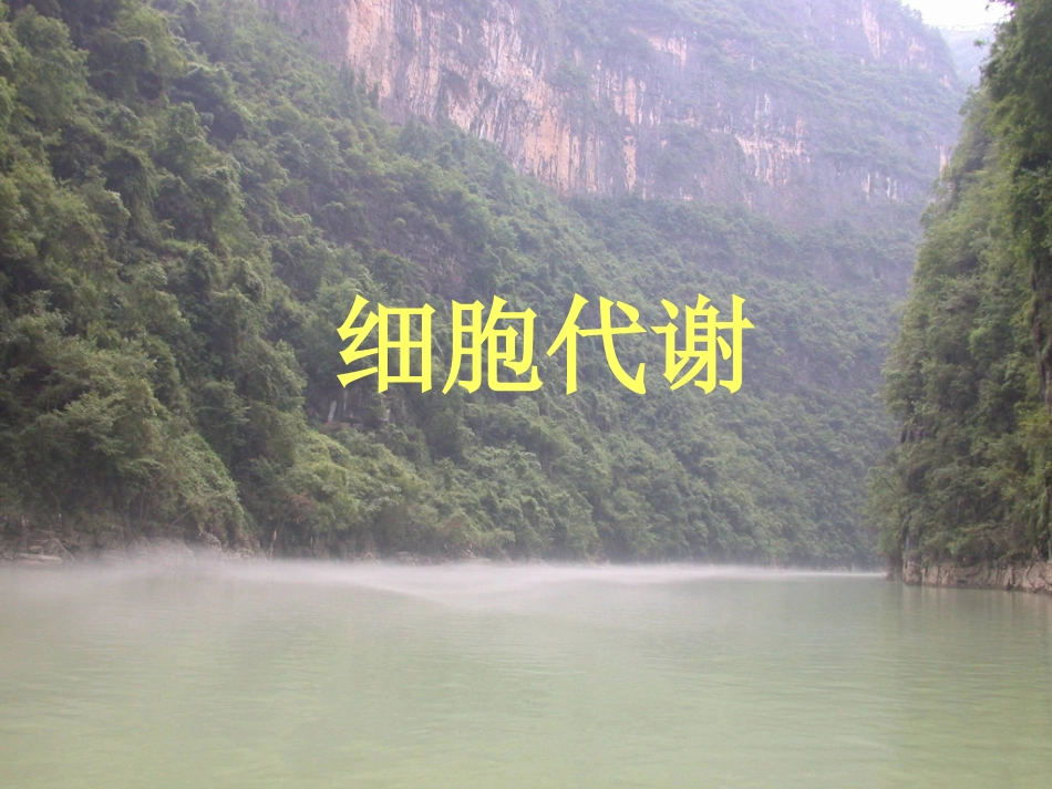 复习5-细胞的能量供应和利用_第1页