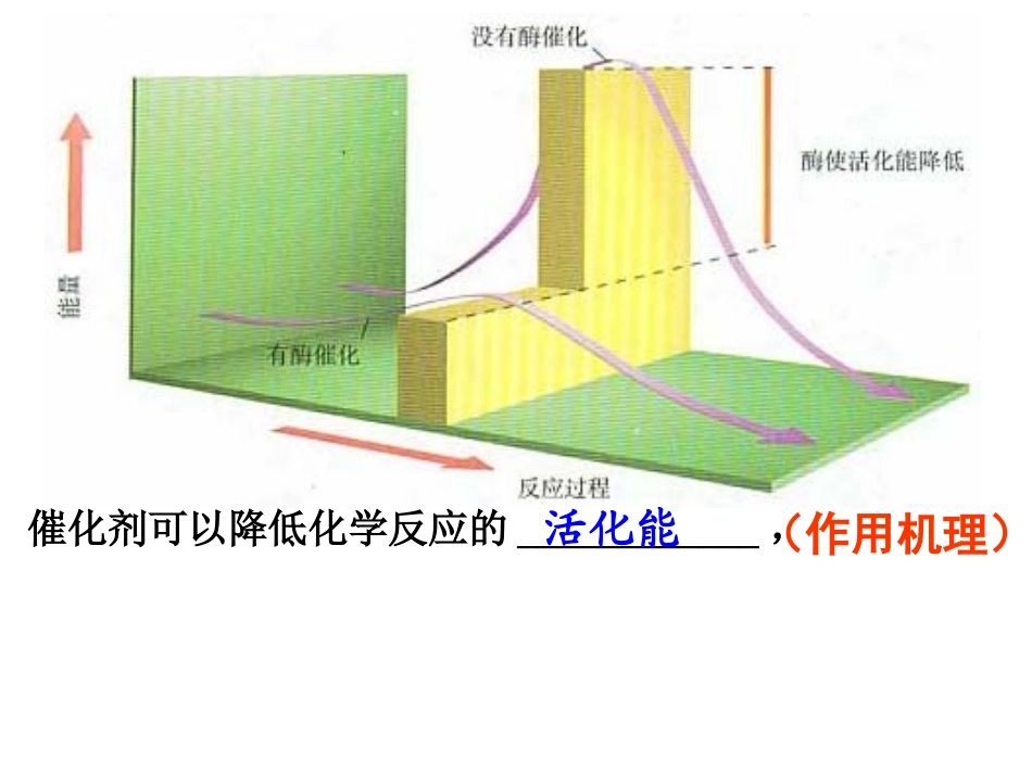 复习5-细胞的能量供应和利用_第3页