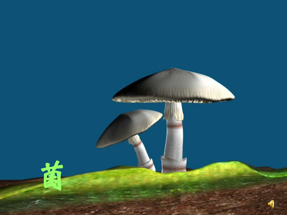 第三章 真菌_第1页