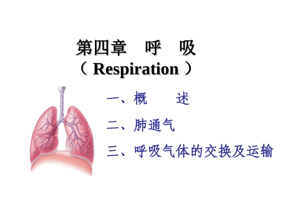呼吸-气体交换_第1页