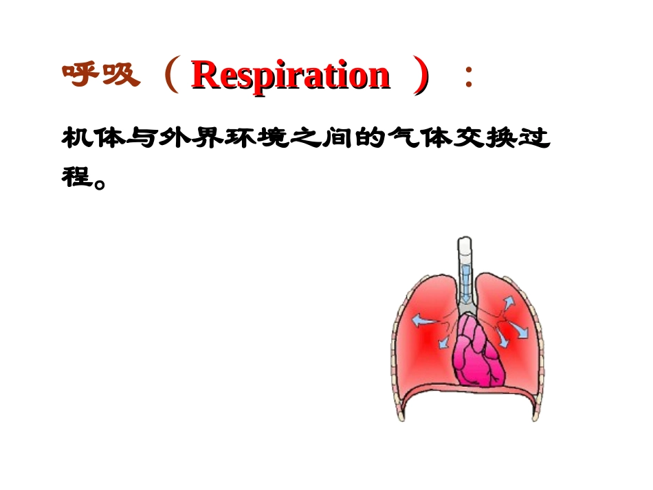 呼吸-气体交换_第3页