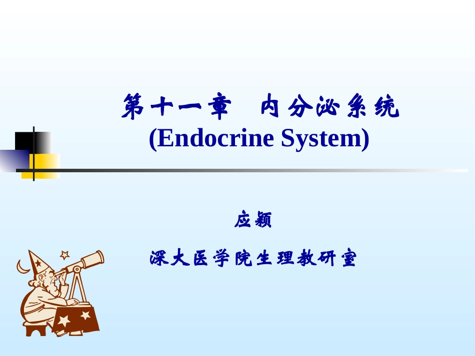 内分泌系统I_第1页
