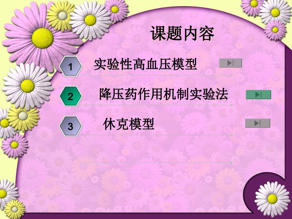 抗高血压模型_第2页