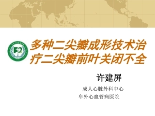 多种二尖瓣成形技术治疗二尖瓣前叶关闭不全