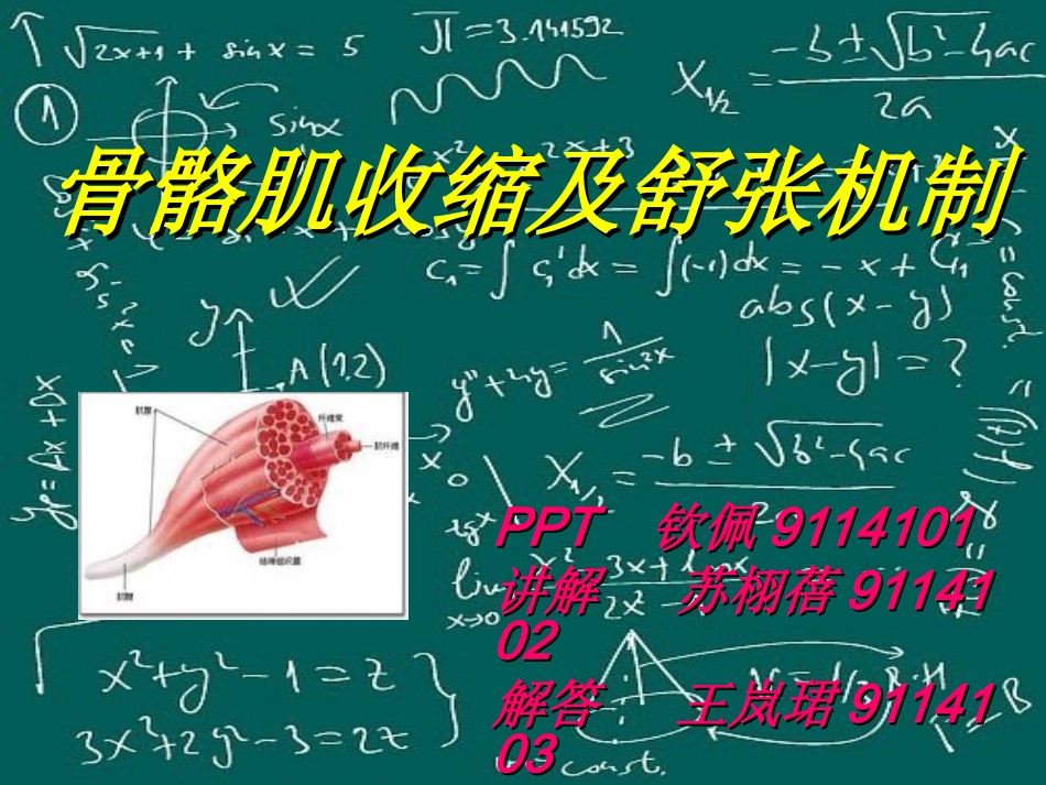 骨骼肌收缩及舒张_第1页