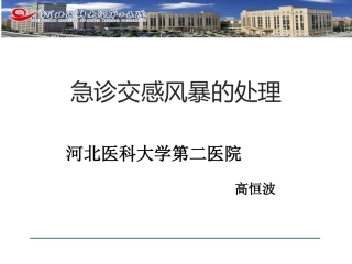 急诊交感电风暴的处理策略