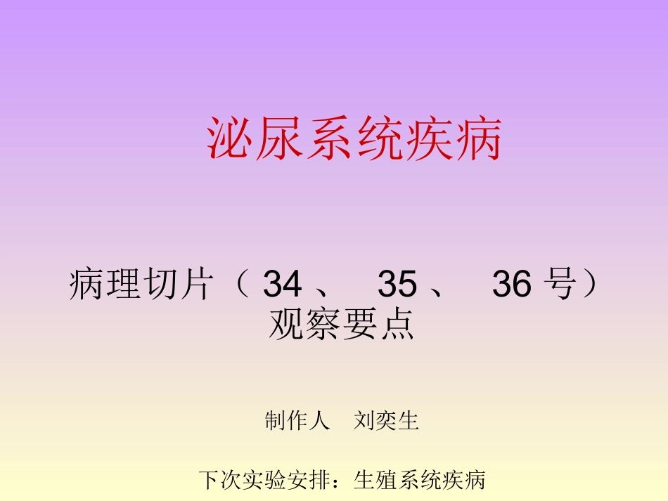 泌尿系统疾病(修正版)_第1页