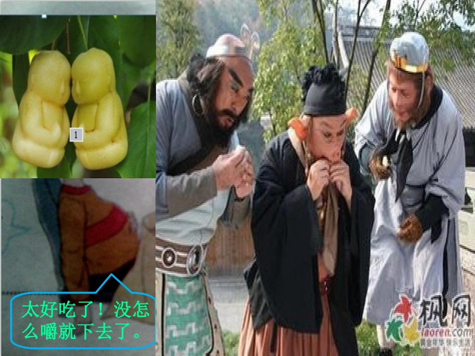 第二节  消化与吸收_第1页