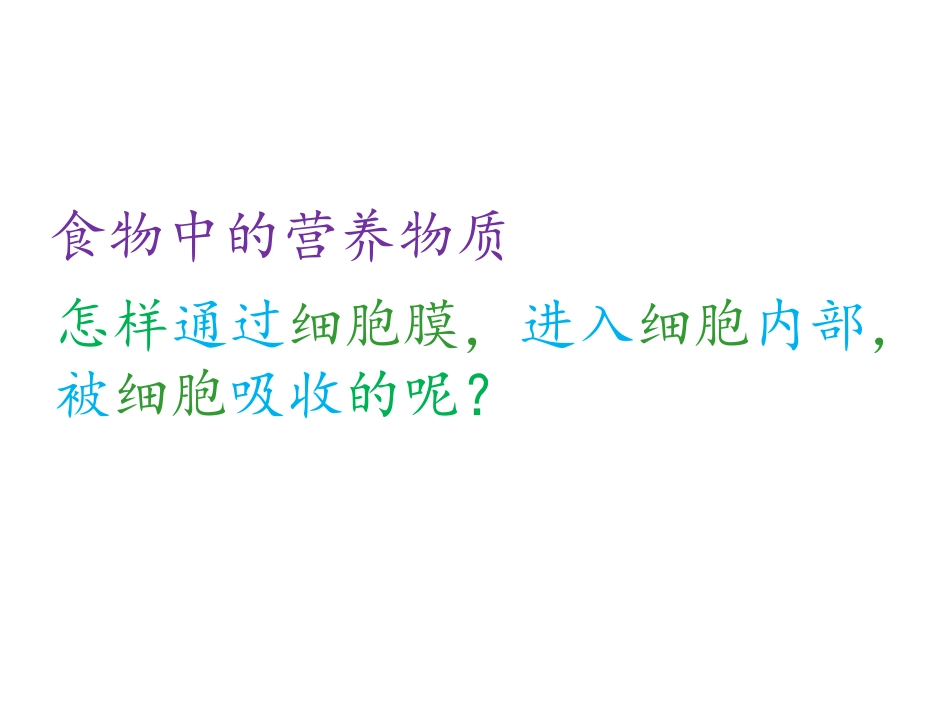 第二节  消化与吸收_第2页