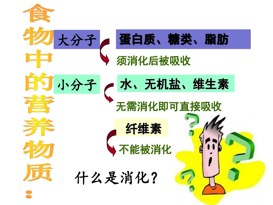 第二节  消化与吸收_第3页