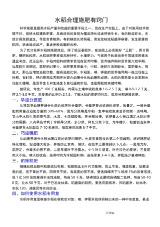 水稻的施肥技术