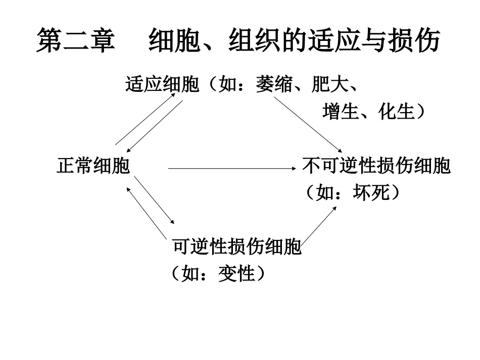 二、三讲-适应、损伤、修复_第1页