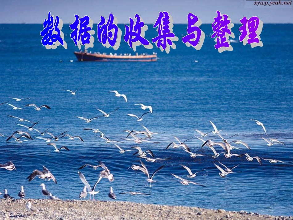 课件  数据的收集与整理_第2页