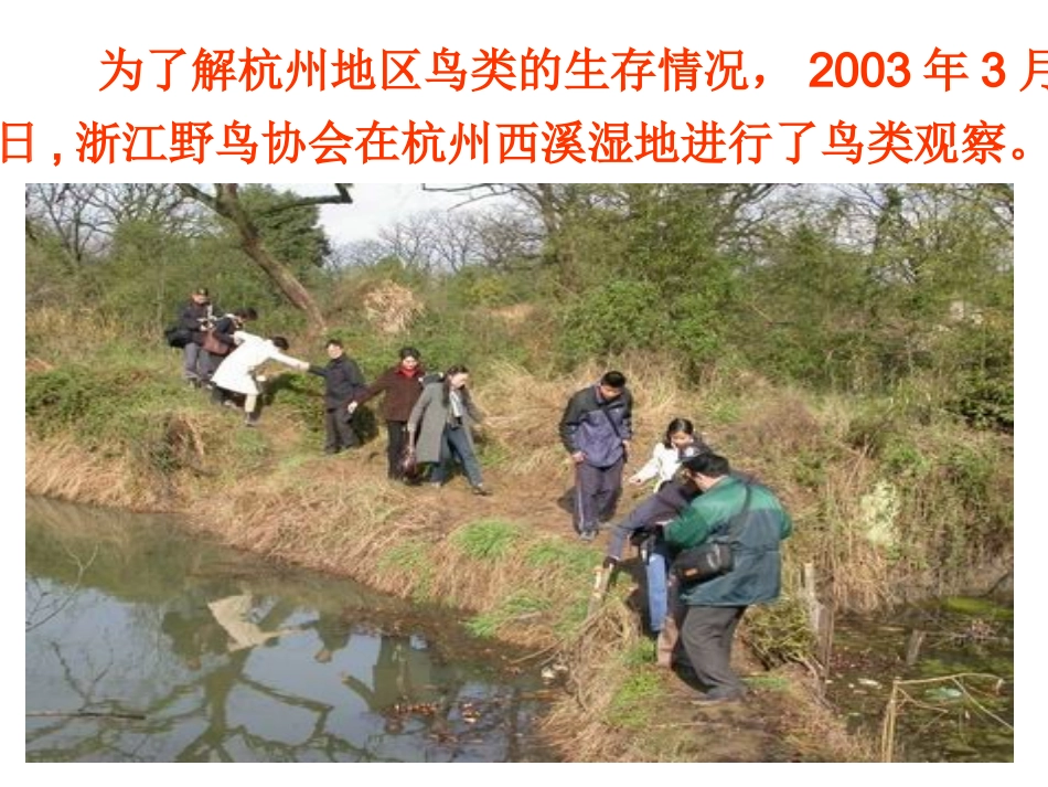 课件  数据的收集与整理_第3页