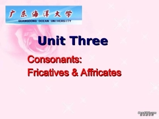 Unit Three 语音学(第8周)