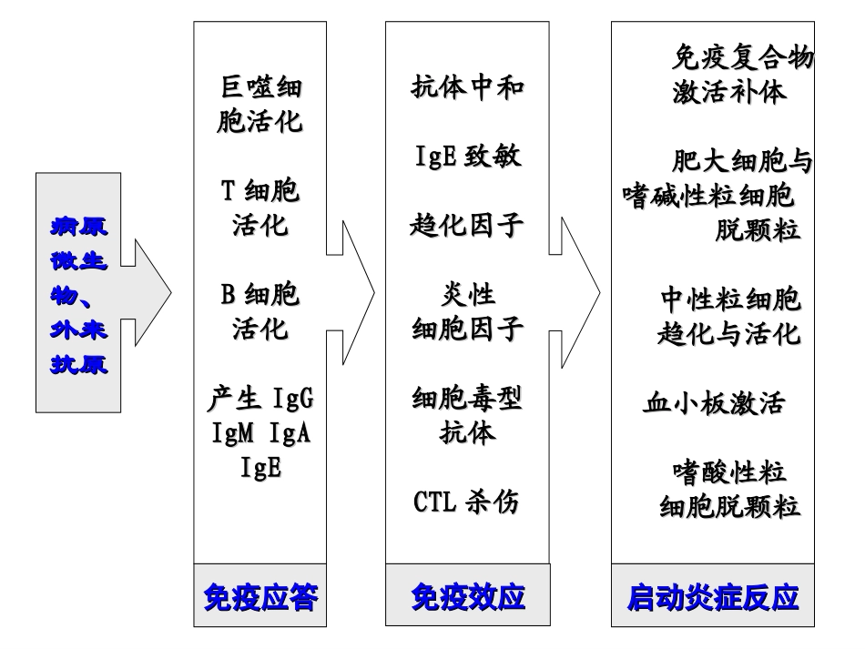 超敏反应_史霖_第2页