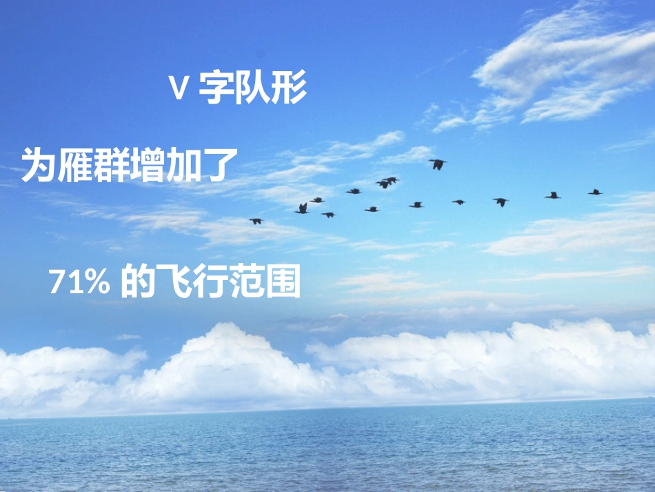 团队精神-大雁精神_第3页