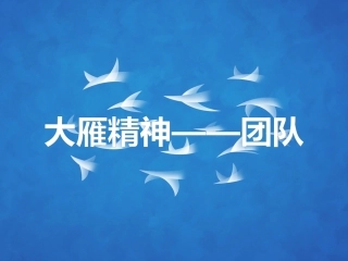 团队精神-大雁精神