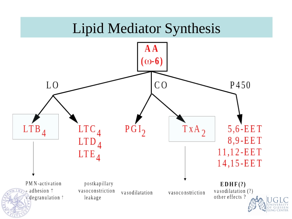 N-3脂肪酸在急重症的应用_第2页