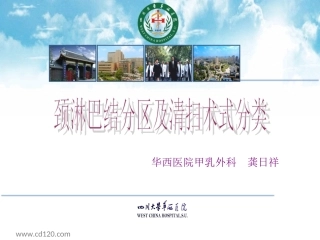 颈淋巴结分区及清扫术式分类