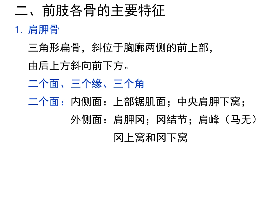 前肢骨及其连结_第3页