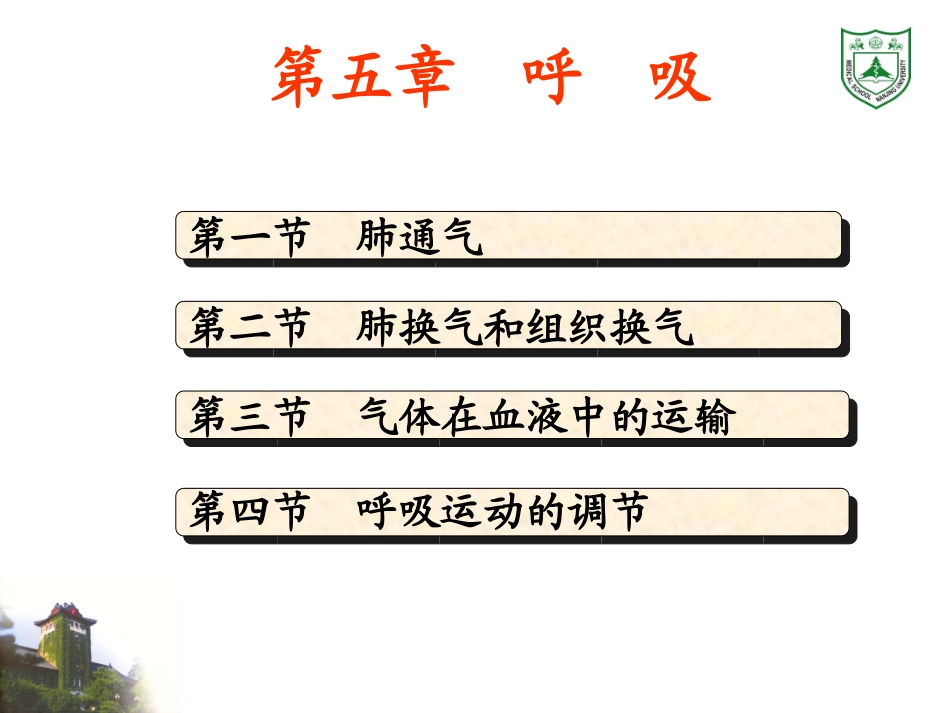生理学课件 呼吸_第2页