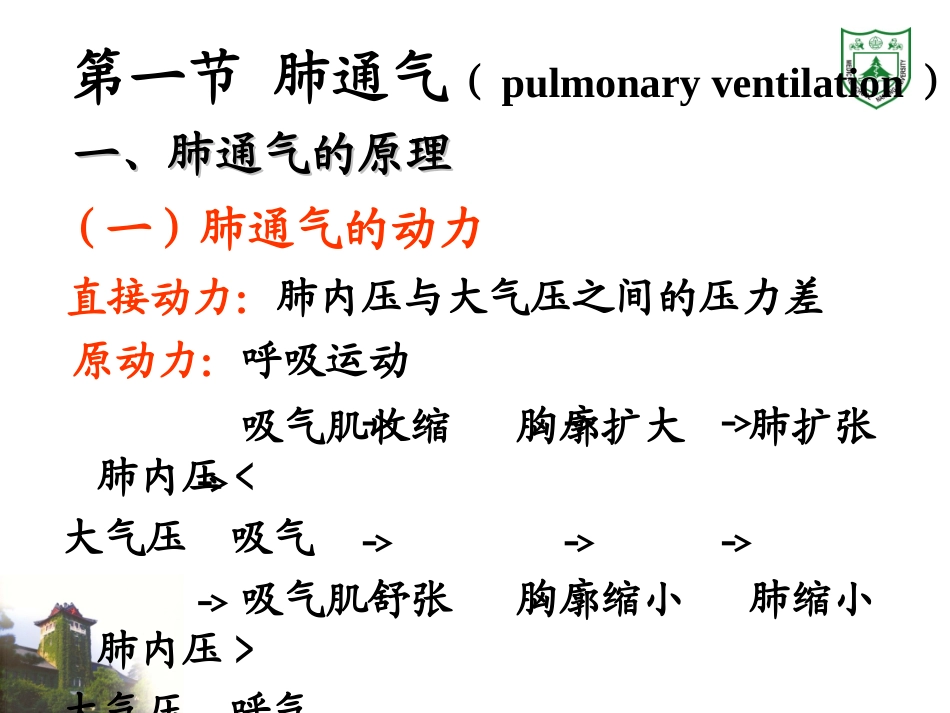 生理学课件 呼吸_第3页