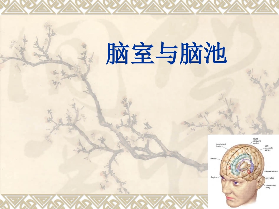 脑室与脑池解剖_第1页