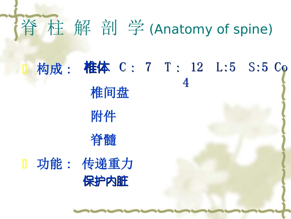 脊柱四肢(方瑜)_第3页