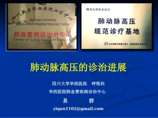 易群-20141109四川省呼吸年会肺高压诊治进展简版3