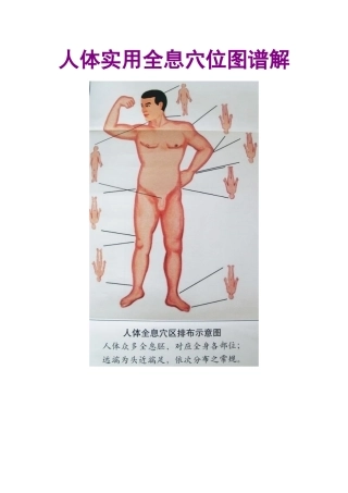 人体实用全息穴位图谱解