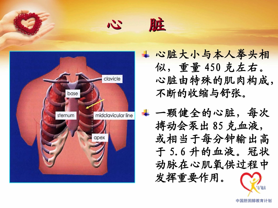 冠心病防治—ABCDE_第3页