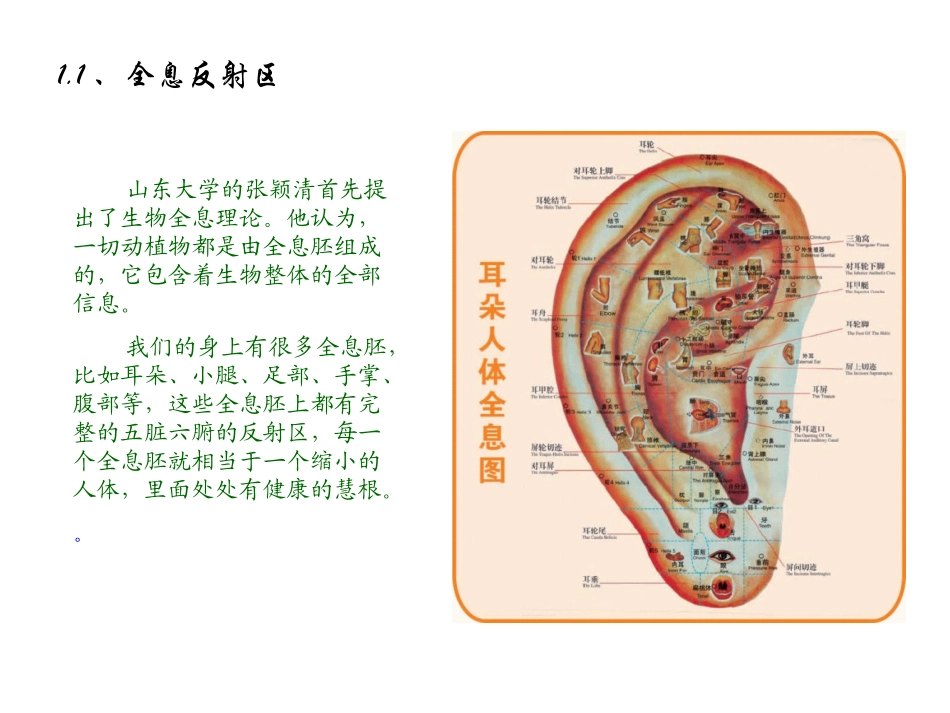 手到病自除-足底按摩_第3页
