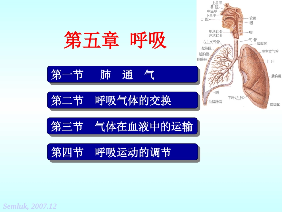 第五章 呼吸-2_第1页