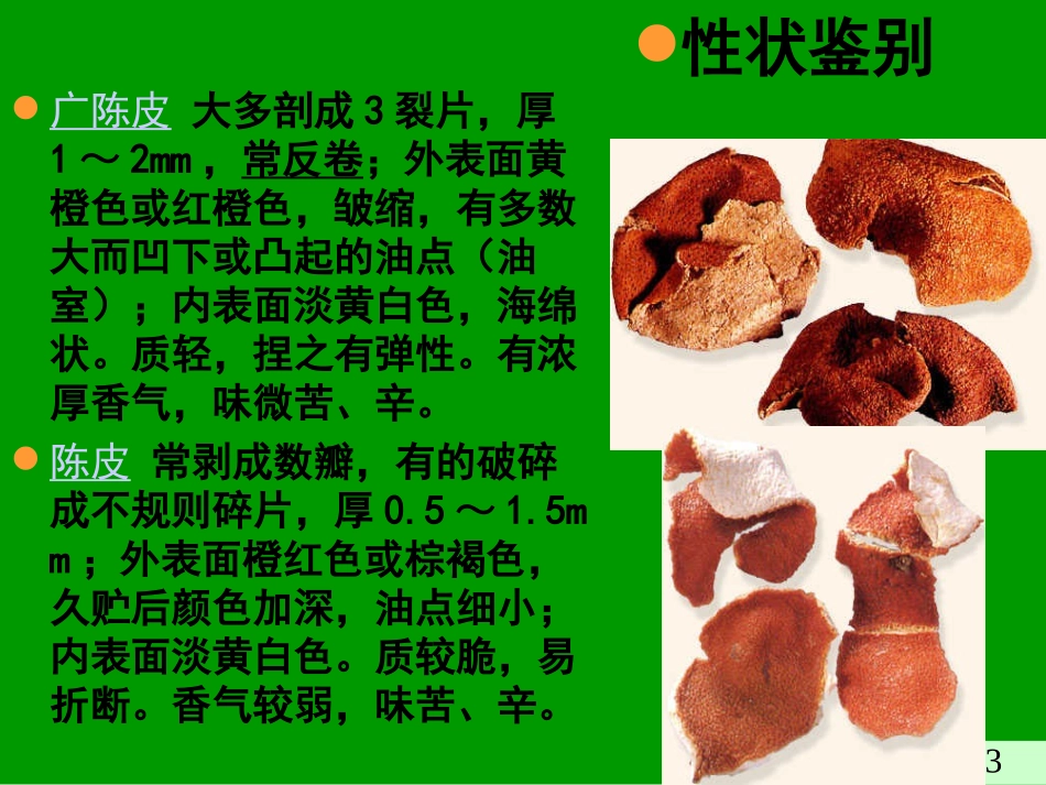 果实种子类中药-2_第3页