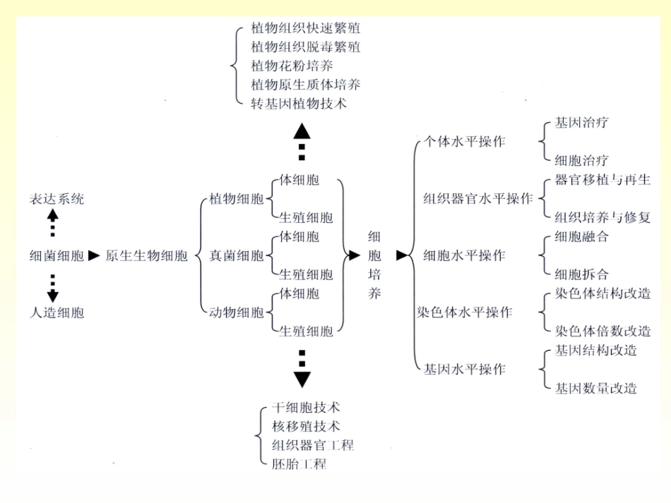 xb四、植物组织与细胞培养_第2页