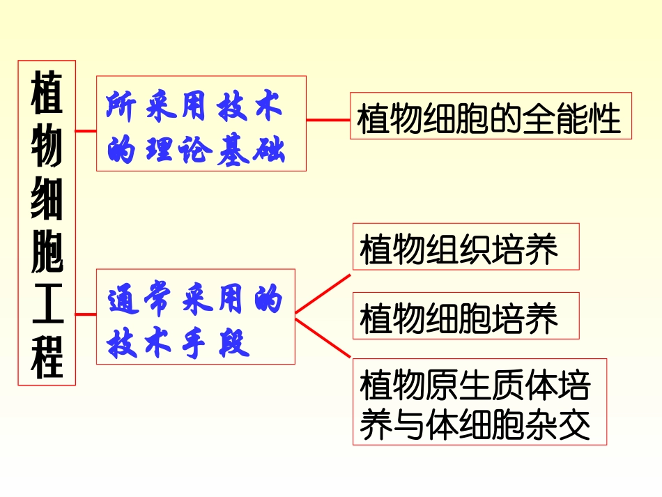 xb四、植物组织与细胞培养_第3页