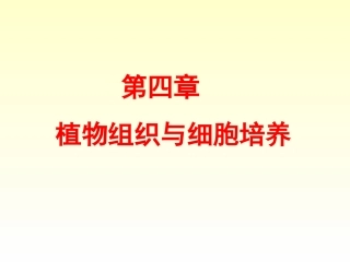 xb四、植物组织与细胞培养
