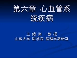 第六章 心血管系统
