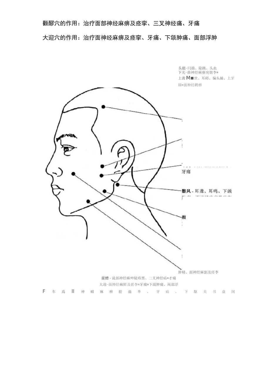 人体穴位图及穴位功能主治_第3页